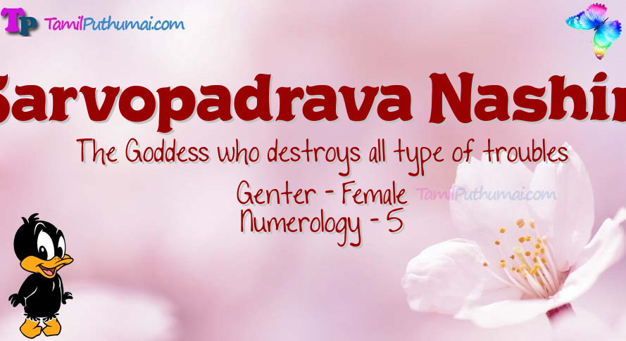 Sarvopadrava Nashini-babyname-meaning